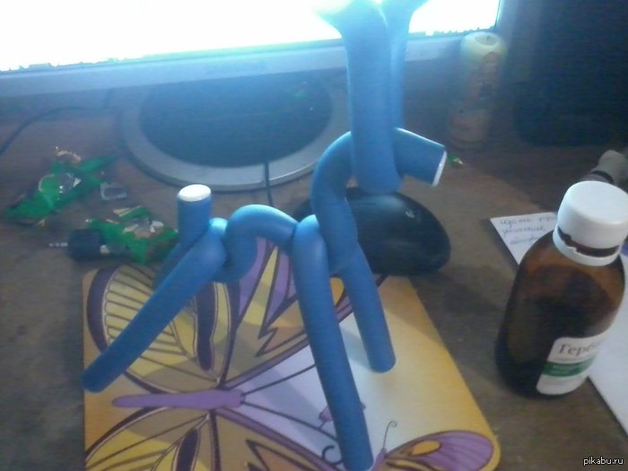 �������� �����