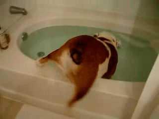   :D 