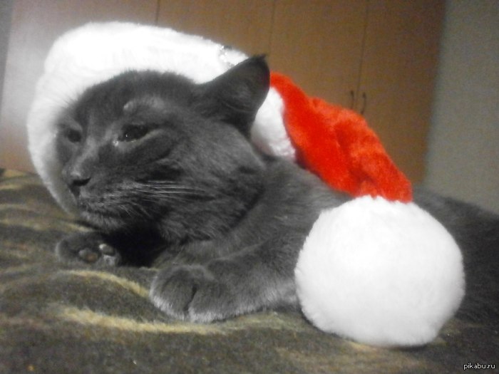 Скоро старый новый год...