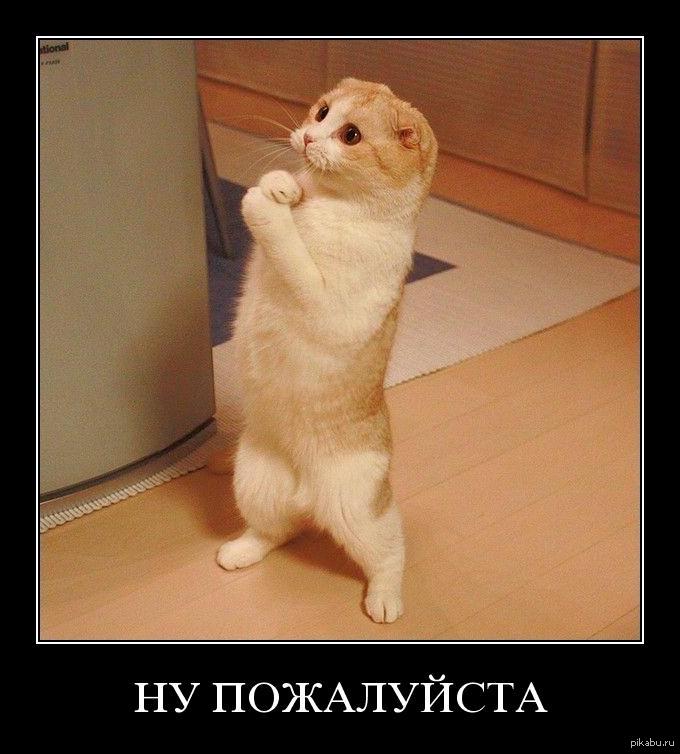 картинки подожди прошу моей любимой навсегда