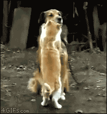 �������� �����������. =)