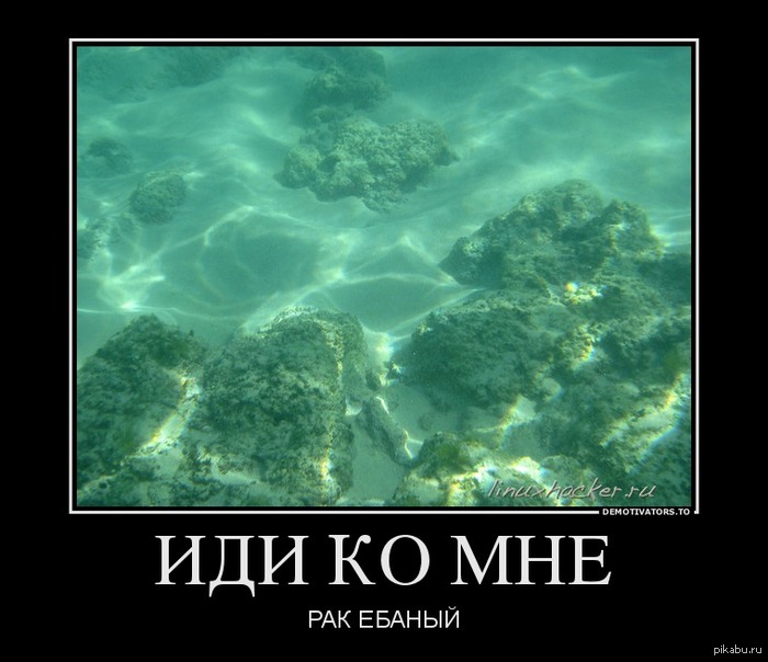   ..