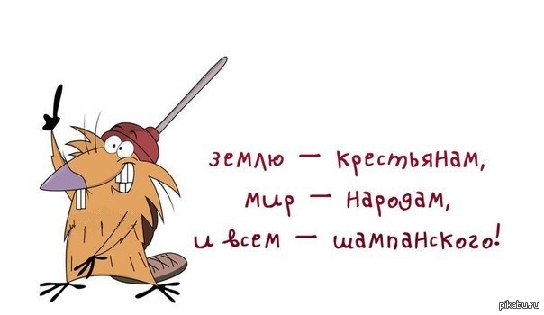 Открытка с бобрами, днем