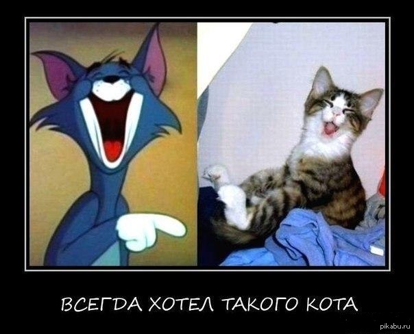 Веселый котейка :3