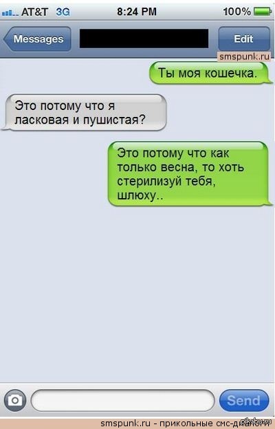 Кошечка