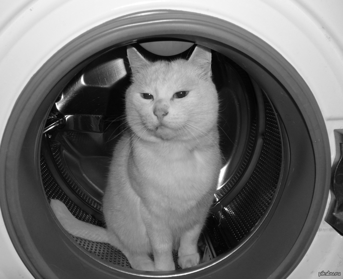 Земля в иллюминаторе, земля в иллюминаторе... видна