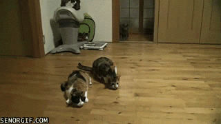 �� �������!!!