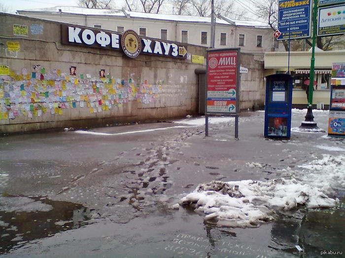 По следам видно отношение людей к объявлениям.