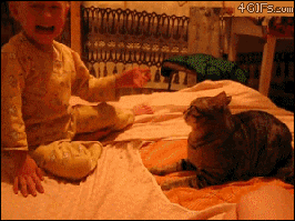 ���(2)