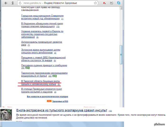 Бунт енотов