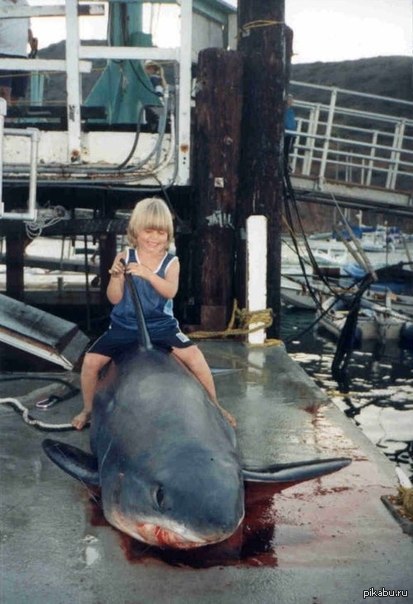 Удивительный пример дружбы и взаимопонимания между детьми и животными