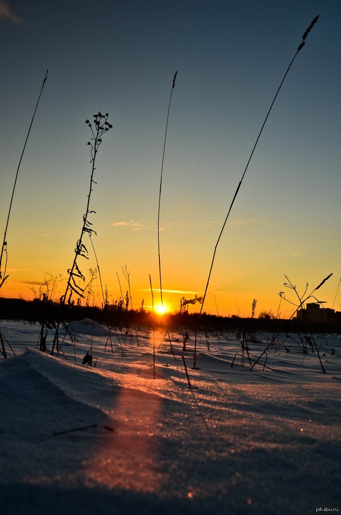 Мой друг начинающий фотограф и мне уж очень понравилась его фотография. Решил ей поделиться)