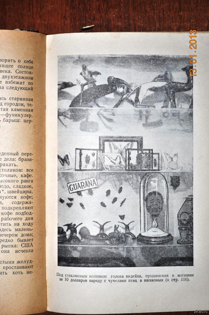 Человеческая голова в магазине. О_о