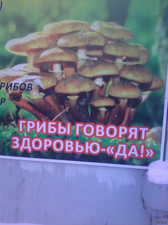 Неожиданно!