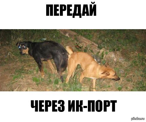 ИК-порт