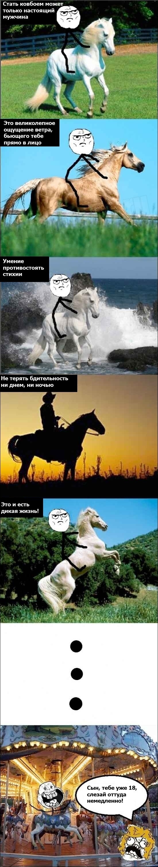 �����...