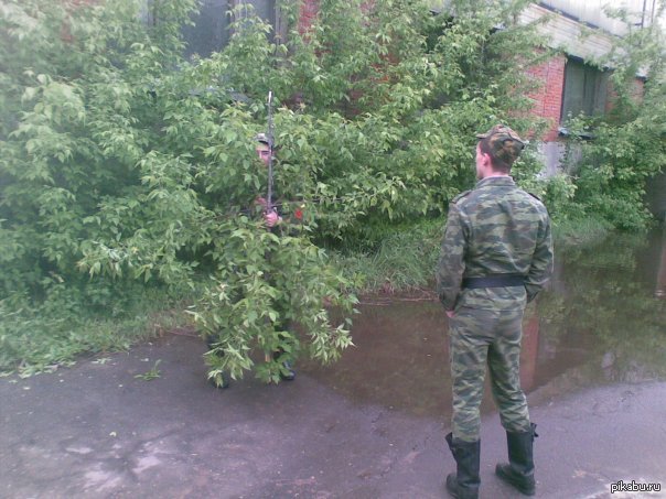 Гениальная маскировка