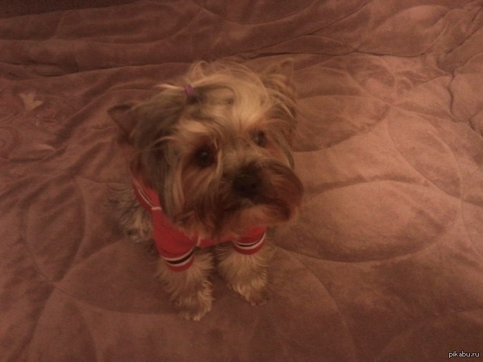 мой звереныш^^