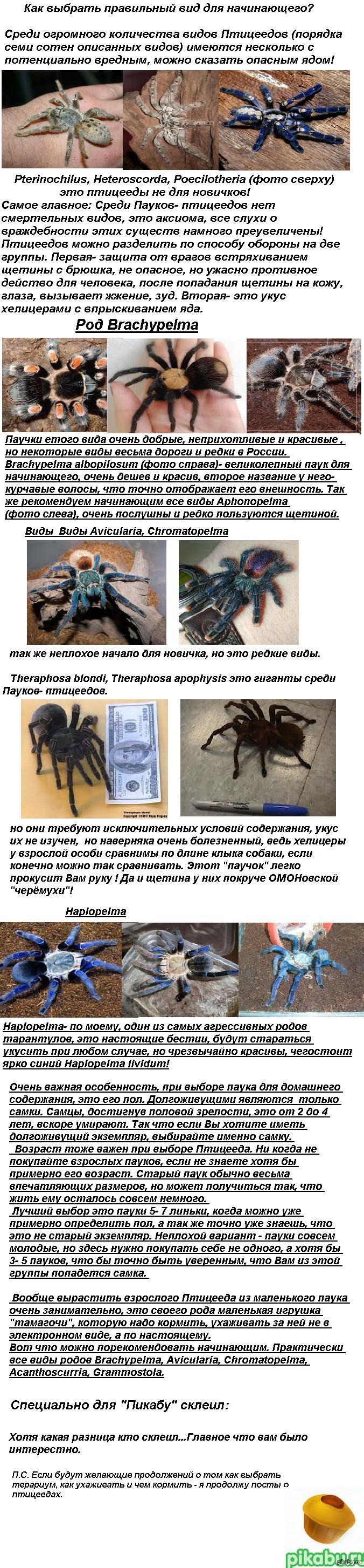 ��� ���������� �������������.