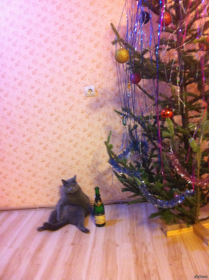 � ��� ��� � �� ����� ����� ������� ����� ���.