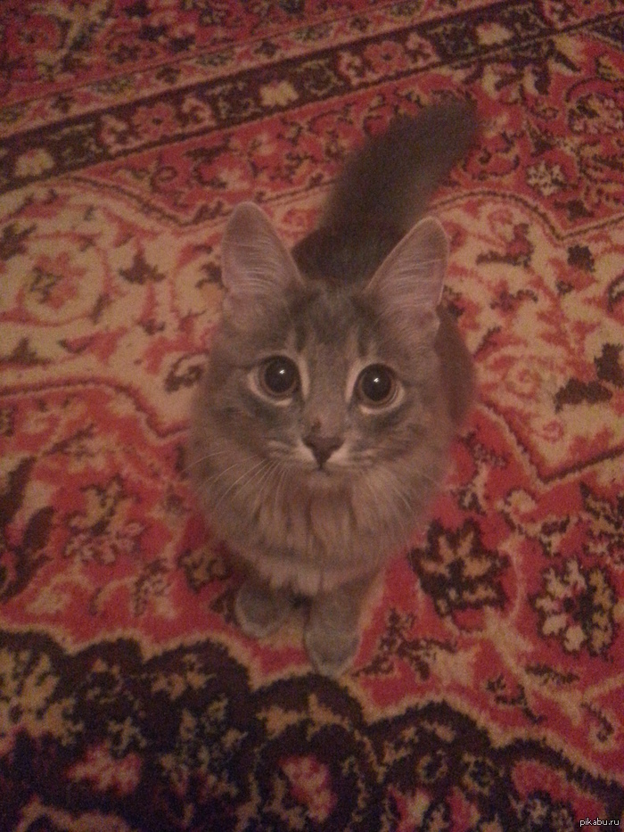 � �����, � ����� ������ �����������? ^^