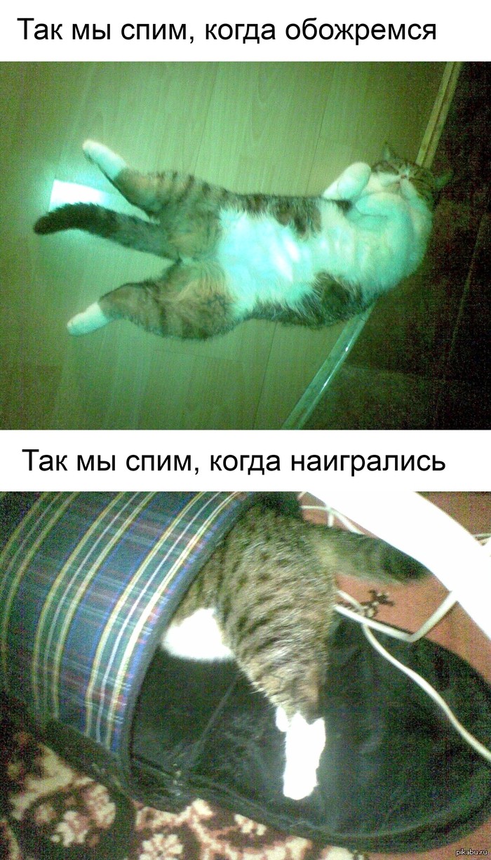 ����������� ������: ����������� - ��� �������� �������