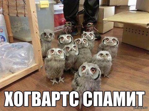 Хогвартс спамит