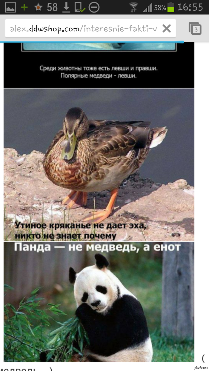 ��� ��� ���....