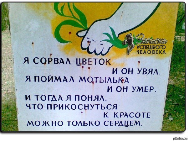 Стих на тему берегите природу Стих на тему берегите природу