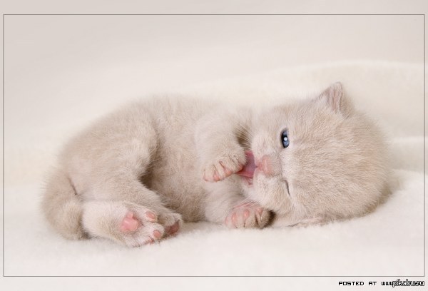 ���������....