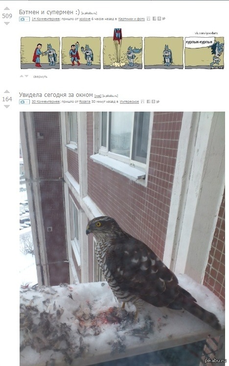 Докурлыкался?