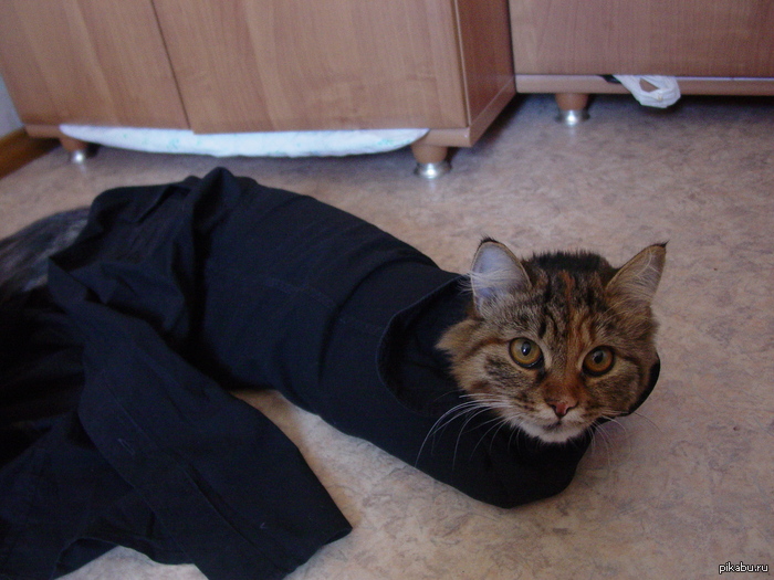 � � ���� �� � ��������: ��� ����-����.