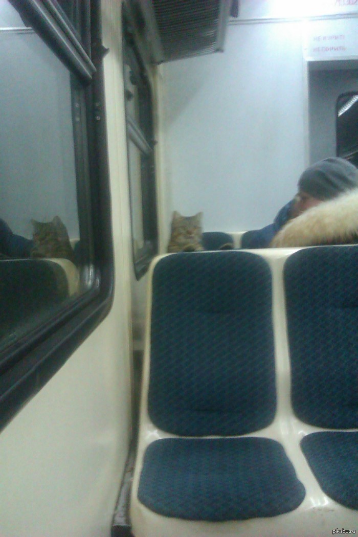 ��� ����� �������� ���� �� ���� � ����������)  �������� ���������� ����������!