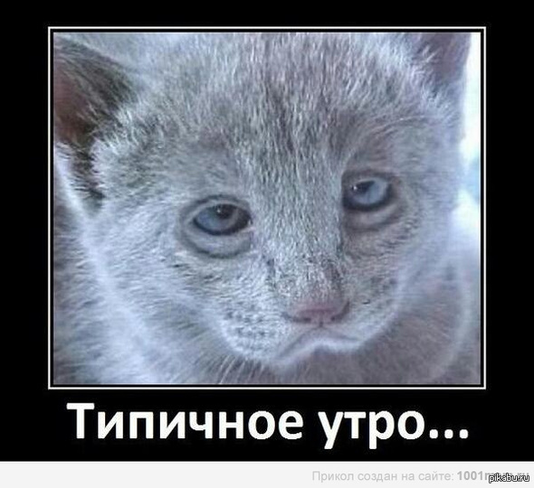 �������� ����...((