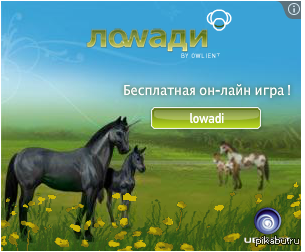 Ловади | Пикабу