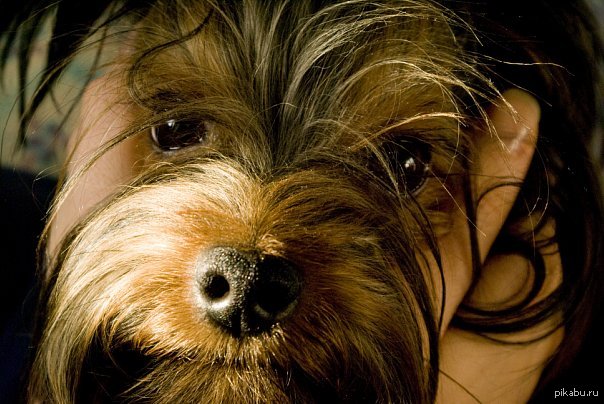 ������ ��� ���� ���� ����))