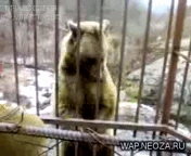 ��� ������ ����� ���� �������� �������, �������� �� ���� �� ������...
