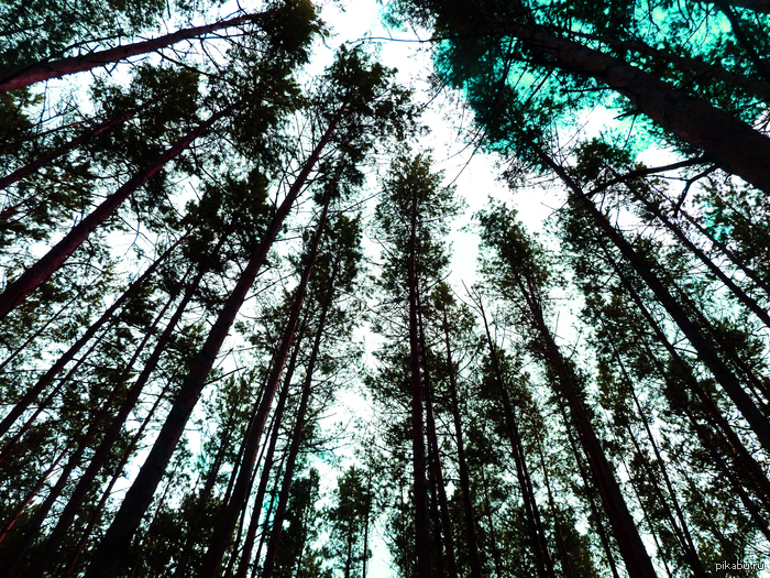 ���, ��������� �������.