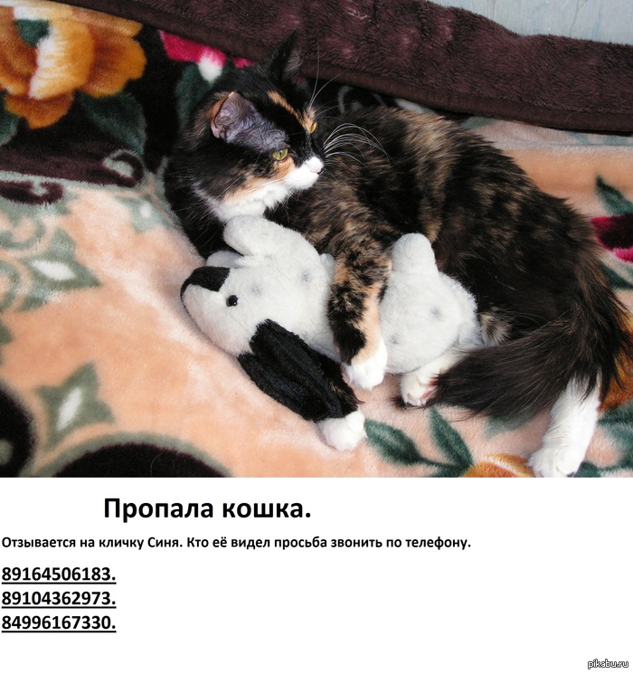   -,    ,   17 .    .  .