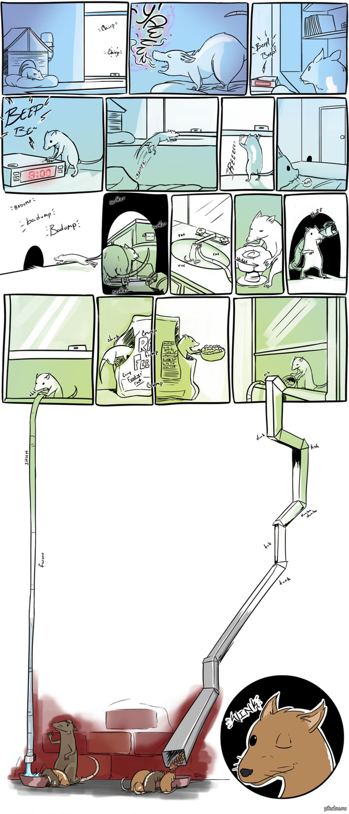 Похождения крыски.