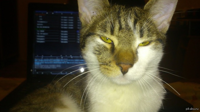 Играешь говоришь?