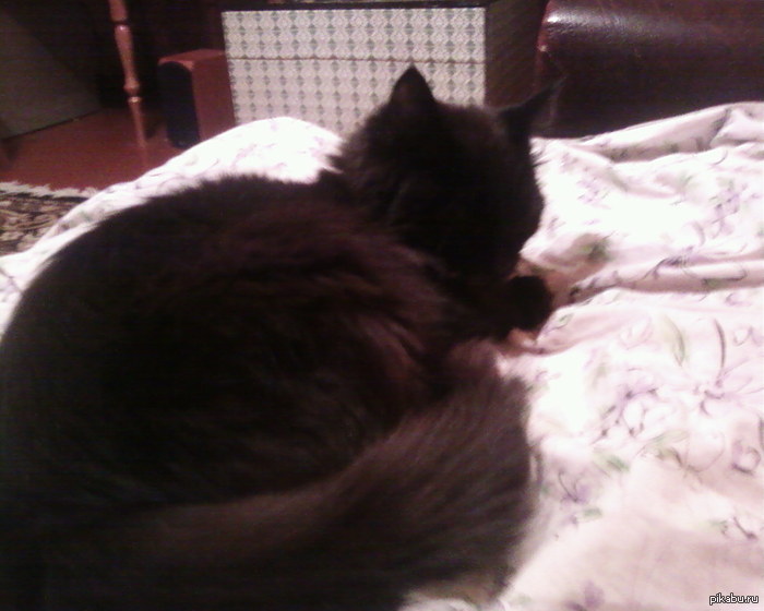 � � ��� ����� ���������...