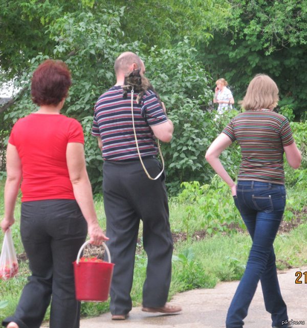 Мурчалко захребетный