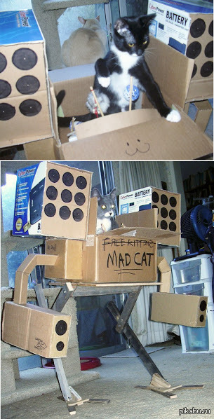 Mad Cat 