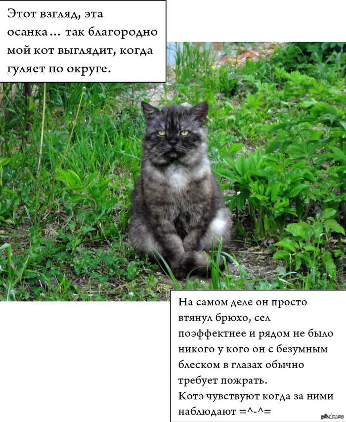 ��� �������