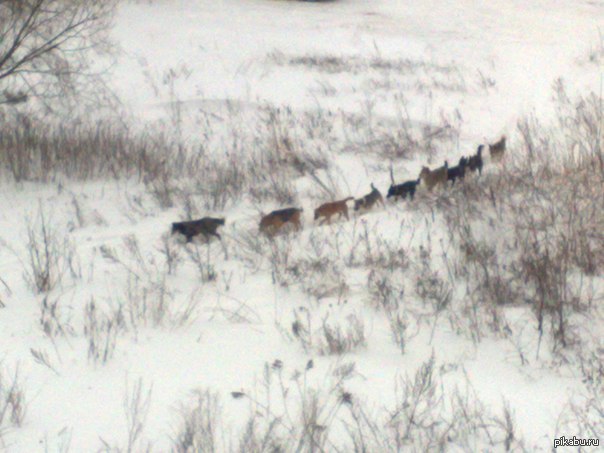 �������� � ����...