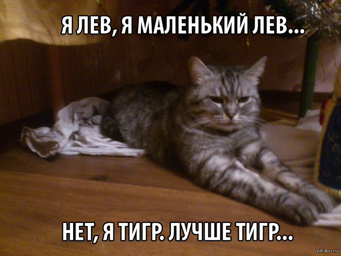 Я лев, я маленький лев. Нет, я тигр, лучше тигр...