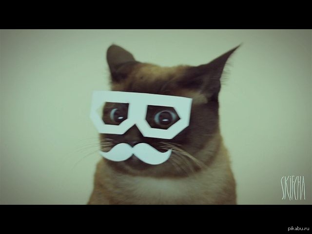 �������, �� ������ ���������� �������� ��� ������...