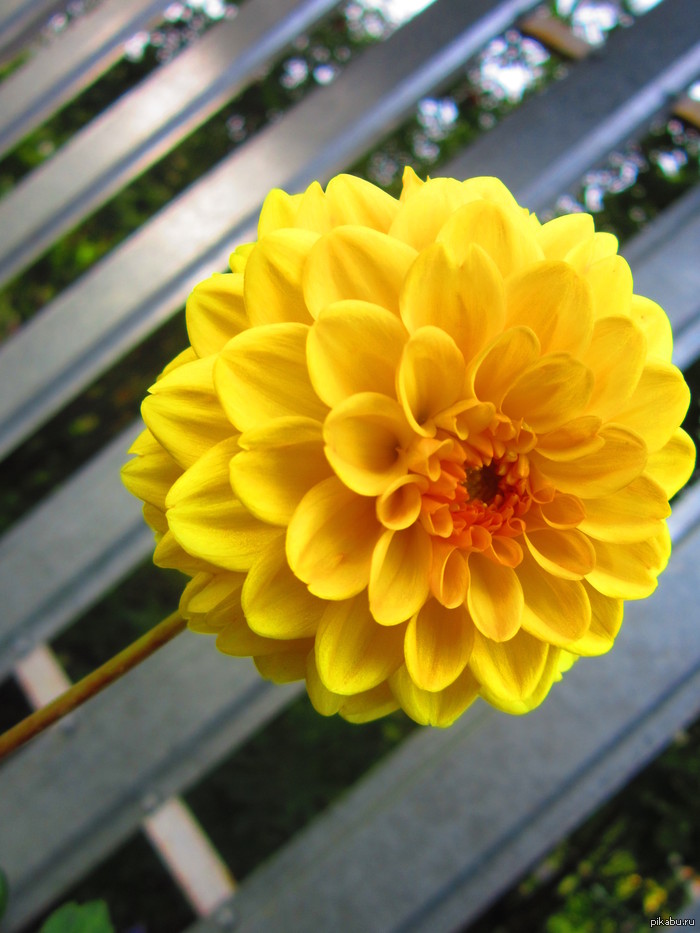 ���� � ����