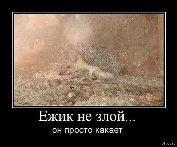��������...